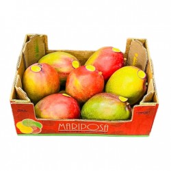 Mango Hayden,Box