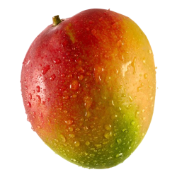 Mango Indian (local grown) 1pc