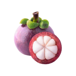 Mangosteen,Farm
