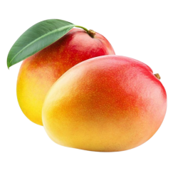 Mango Hayden,ea