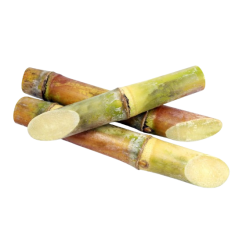 SugarCane Whole
